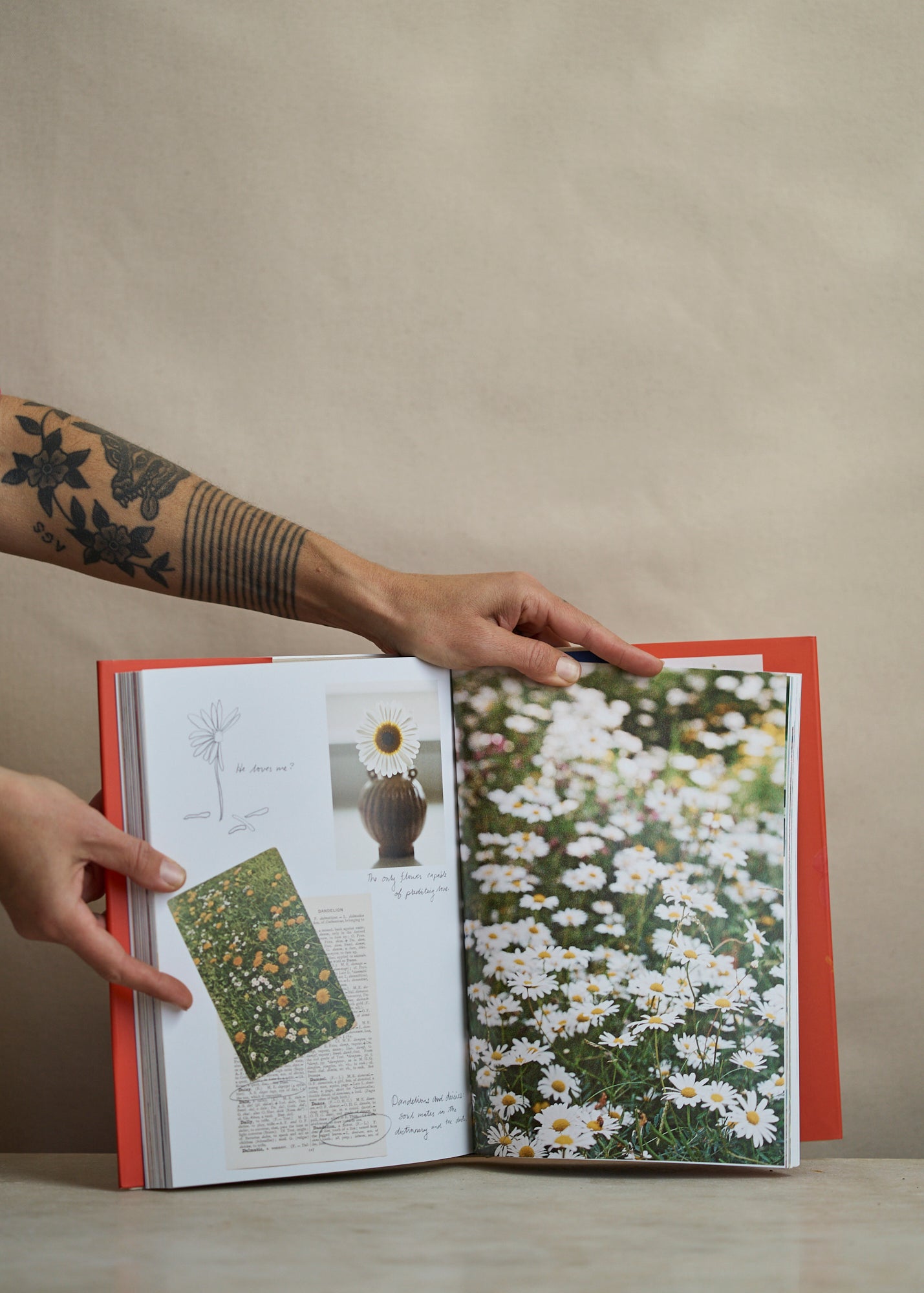 On Flowers, Amy Merrick