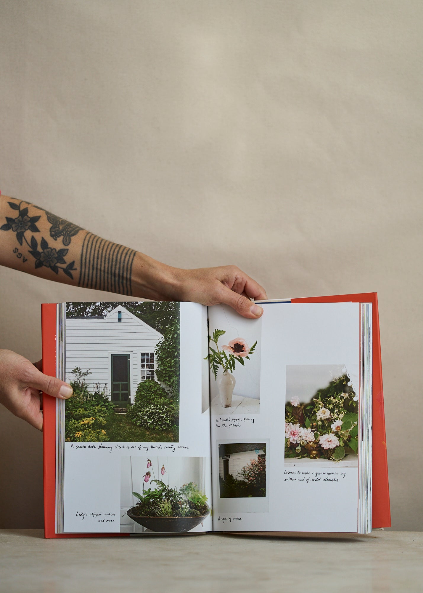 On Flowers, Amy Merrick