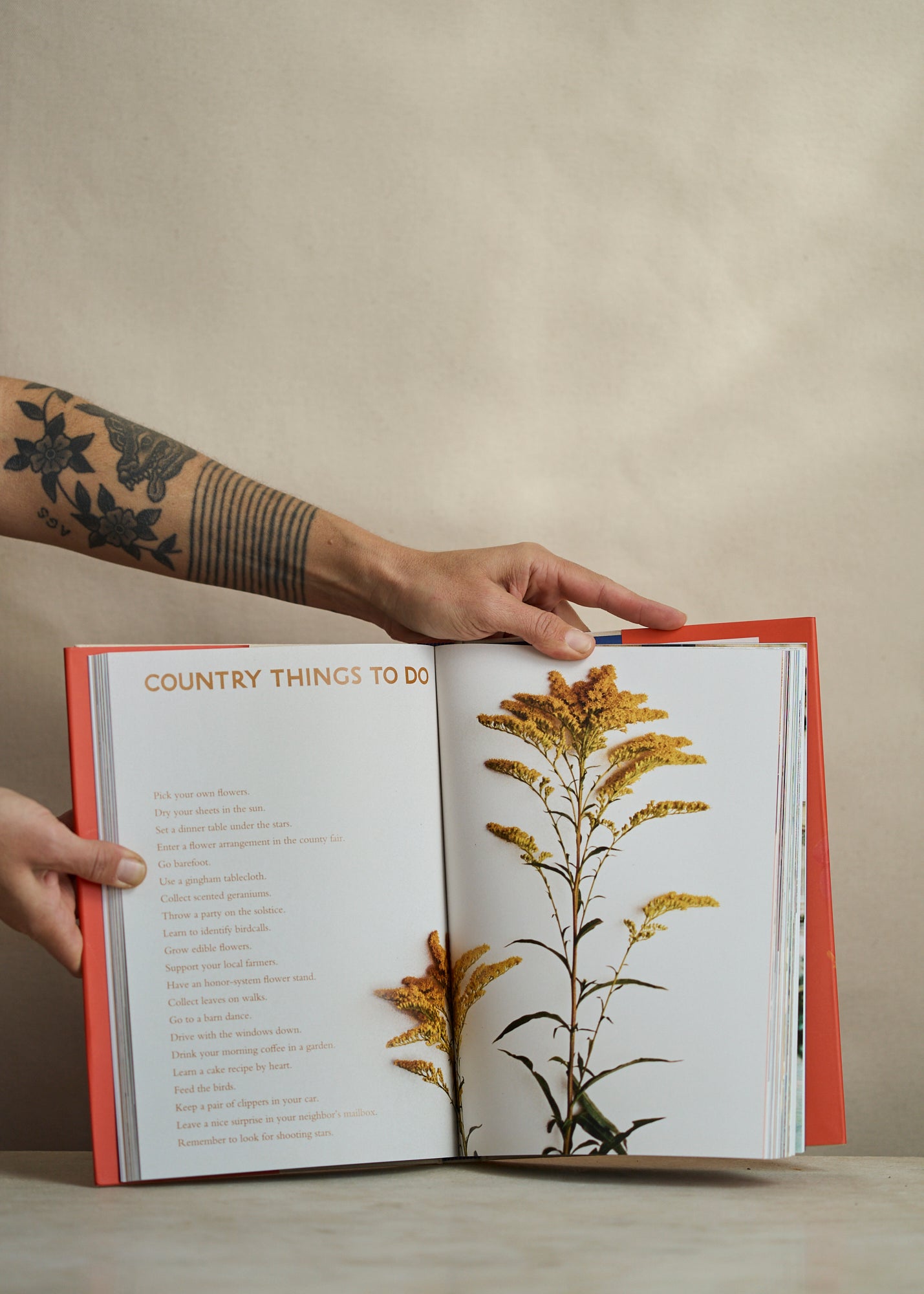 On Flowers, Amy Merrick