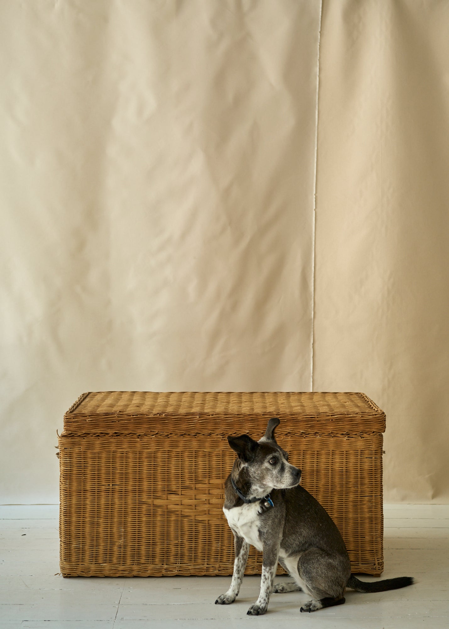 Vintage Wicker Chest
