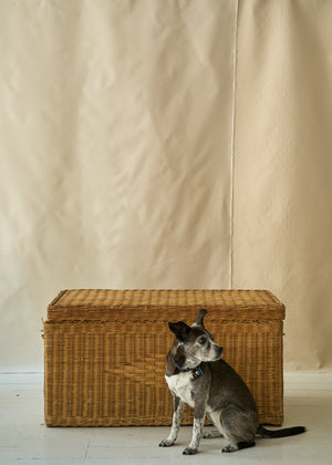 Vintage Wicker Chest