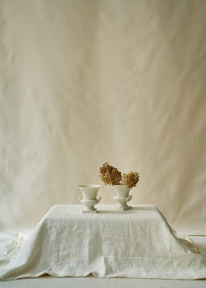 Pair of Vintage Porcelain Urns