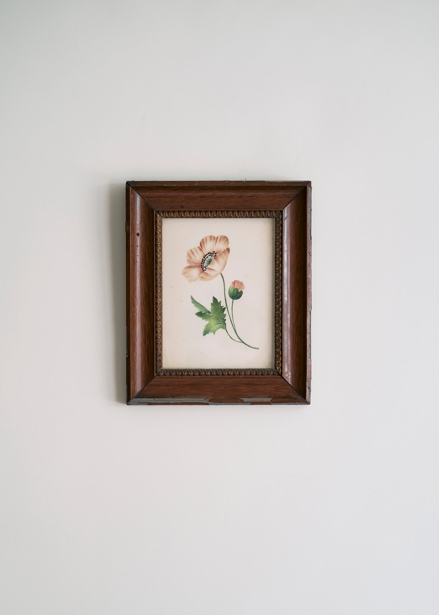Antique Poppy Painting