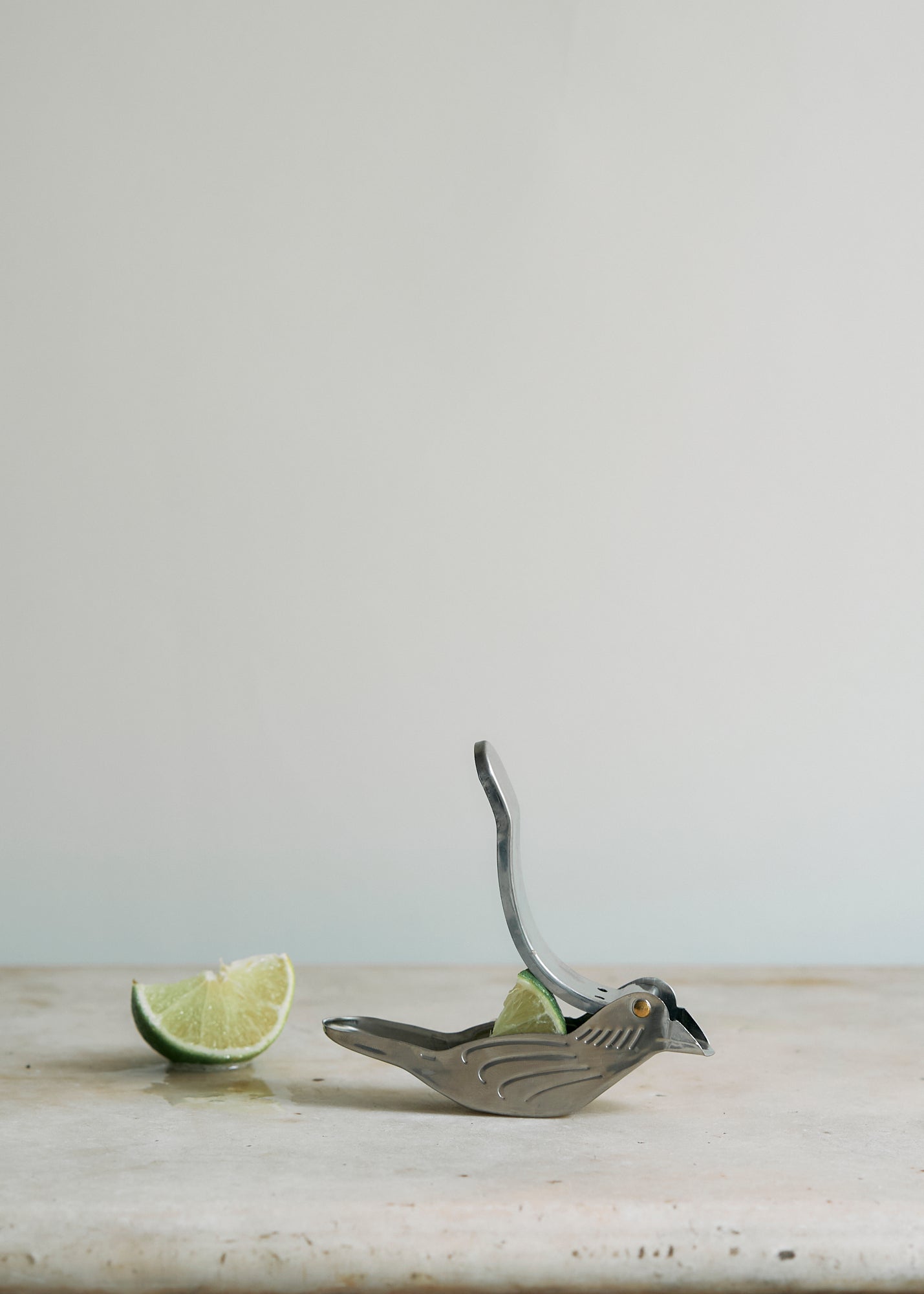 Metal Citrus Juicer