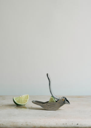 Metal Citrus Juicer
