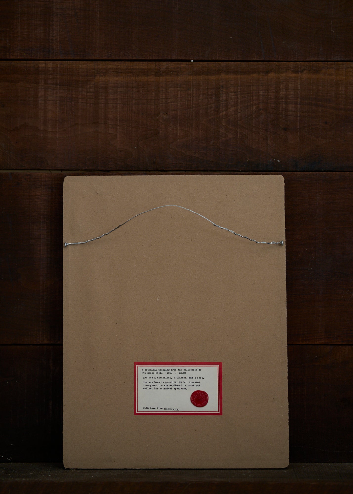 Antique Botanical Pressing 011