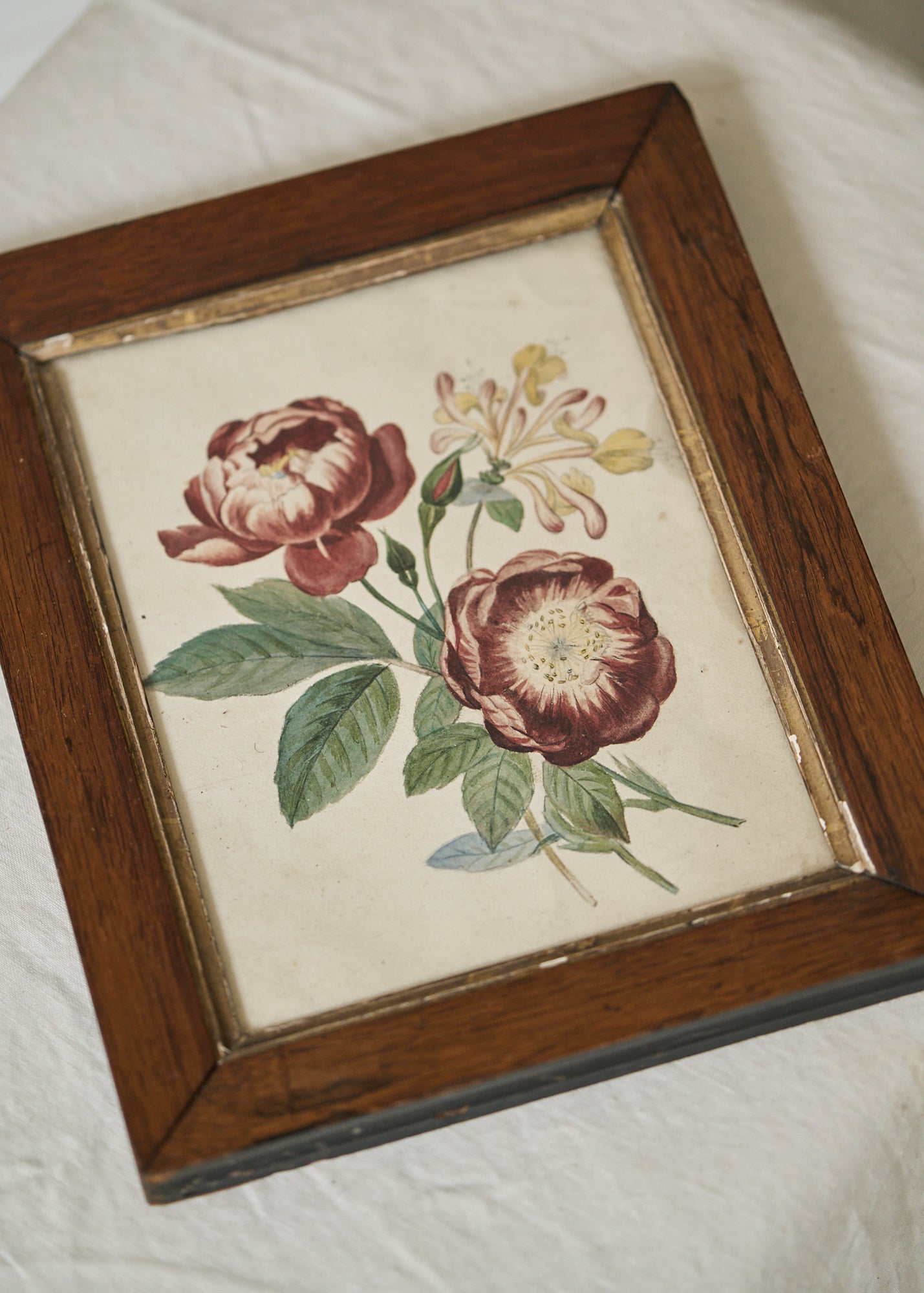 Antique Wood Framed Peonies
