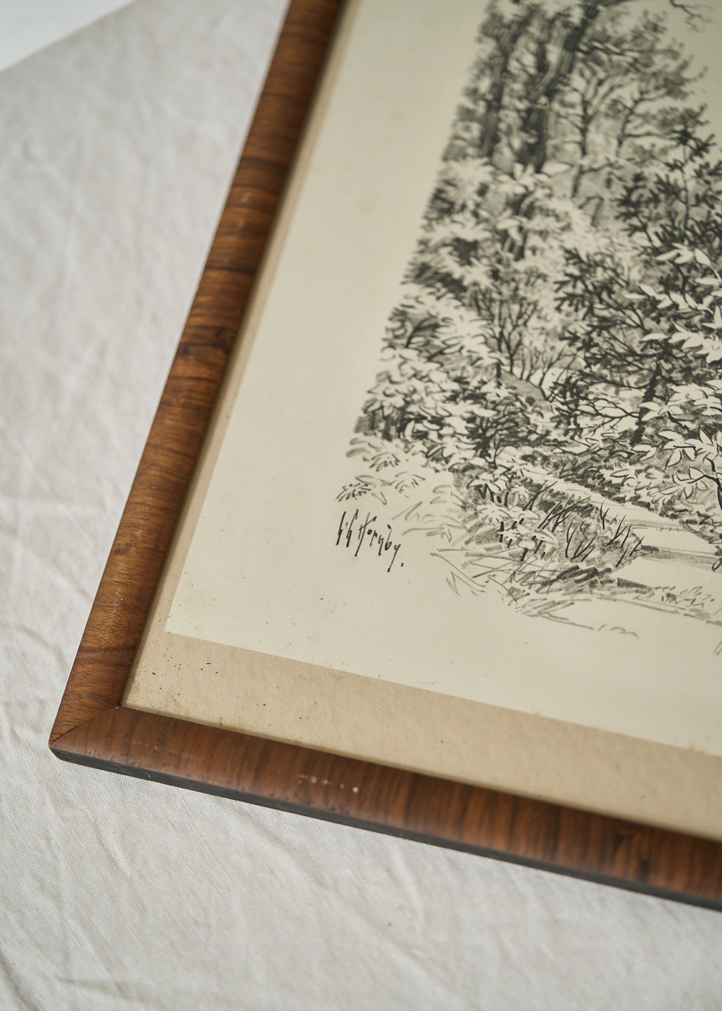Antique Black and White Forest Path Print