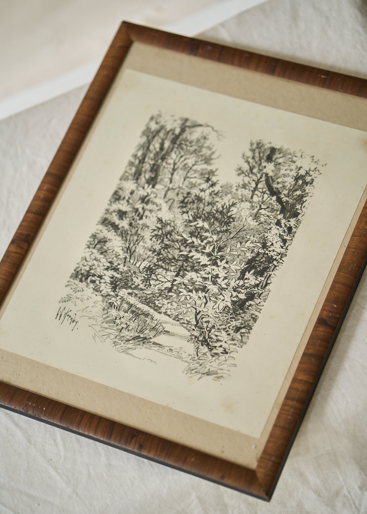 Antique Black and White Forest Path Print