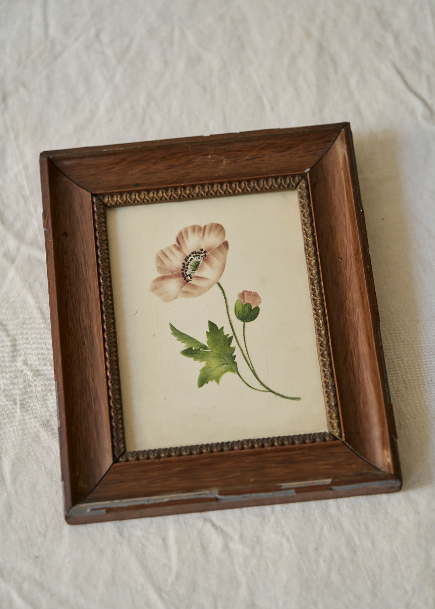 Antique Poppy Painting