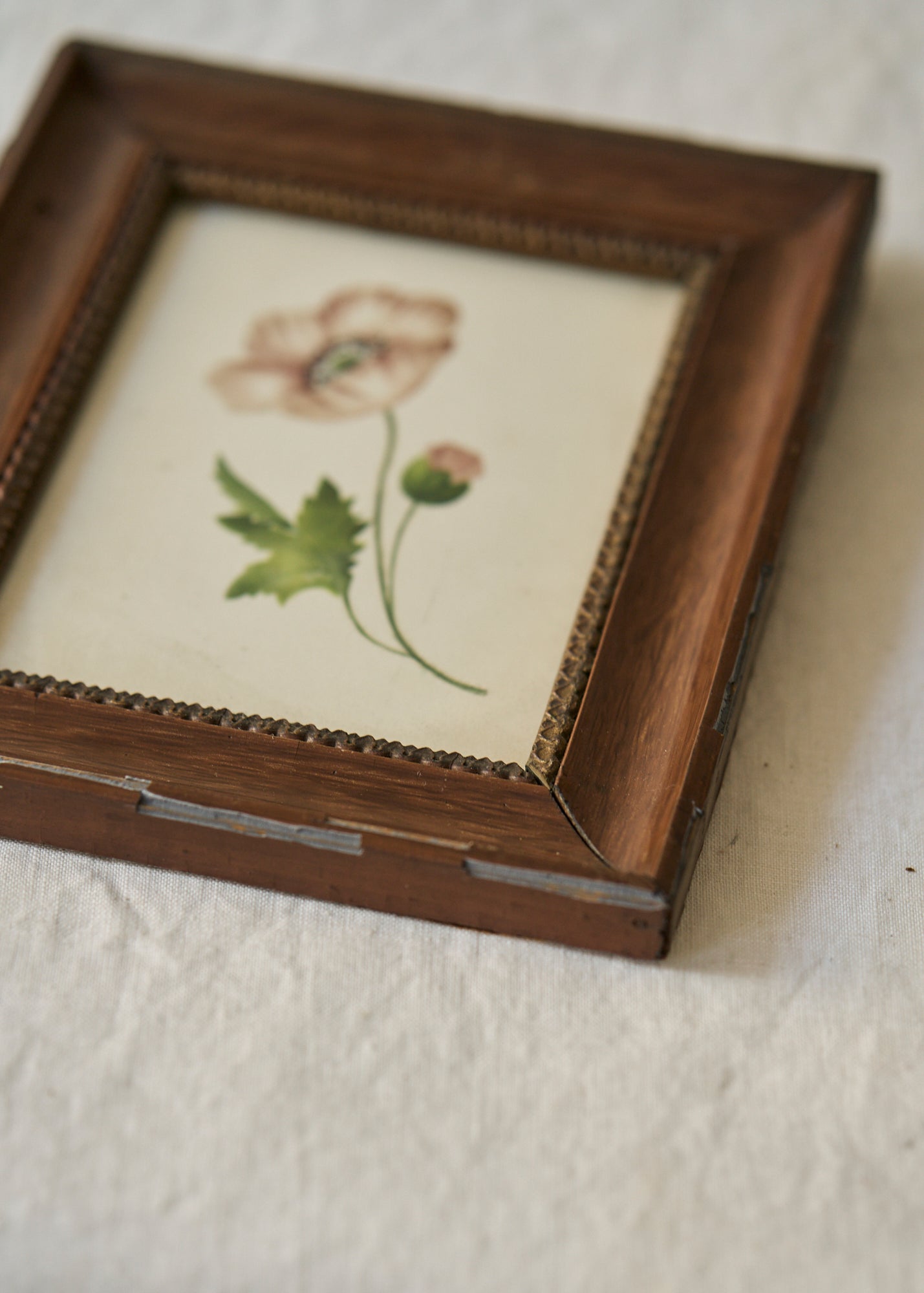 Antique Poppy Painting