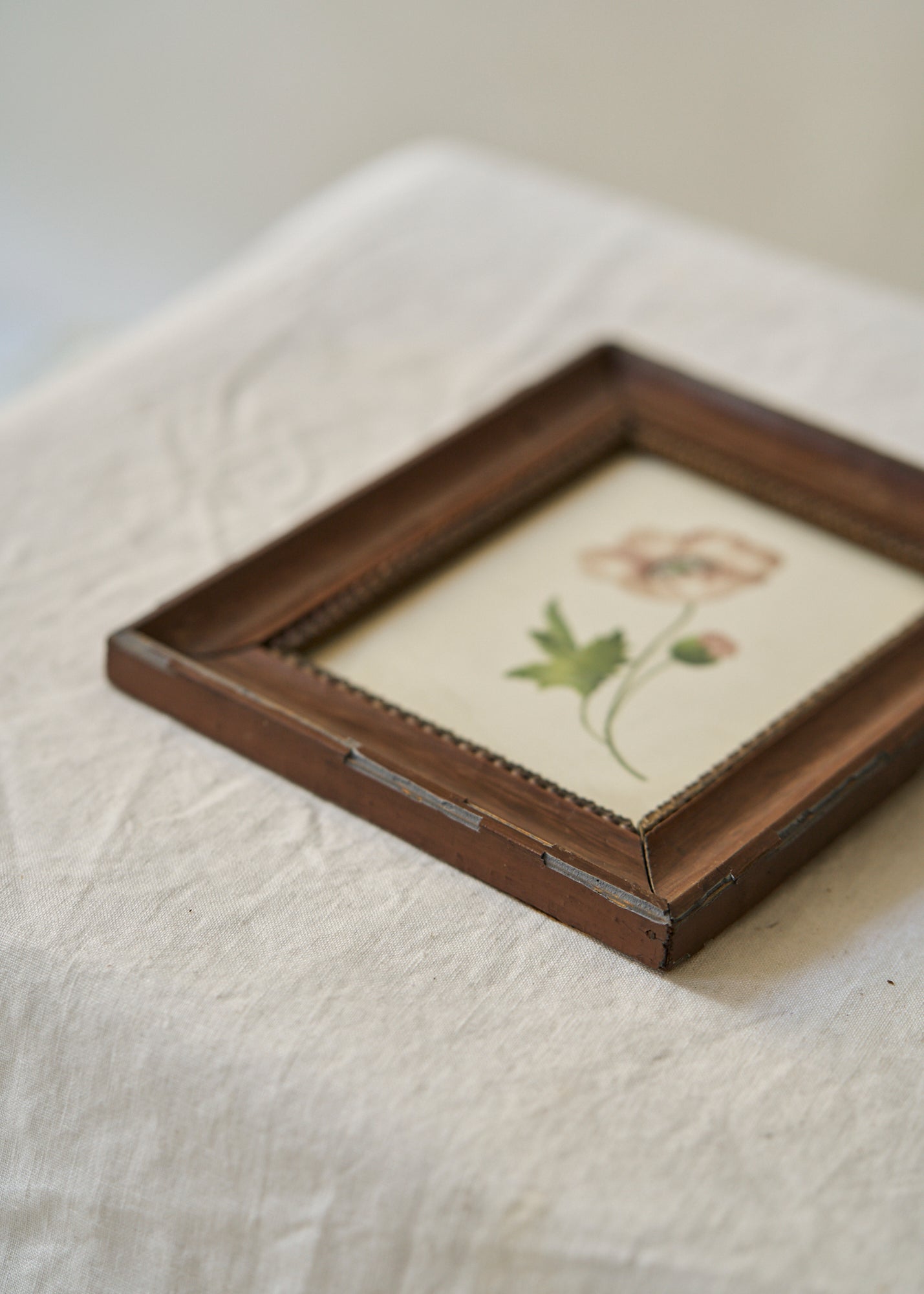 Antique Poppy Painting