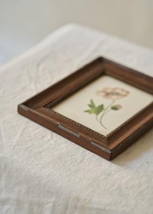 Antique Poppy Painting