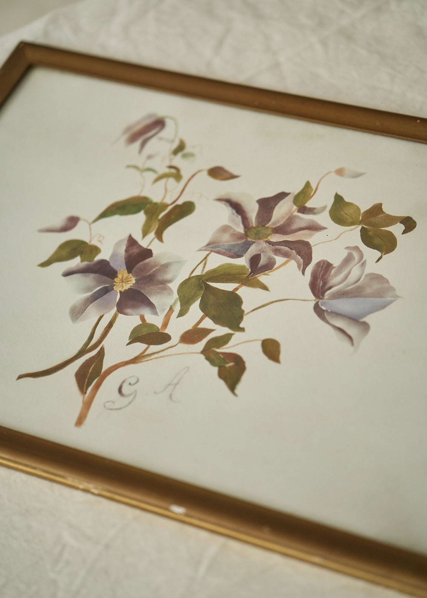 Antique Clematis Painting