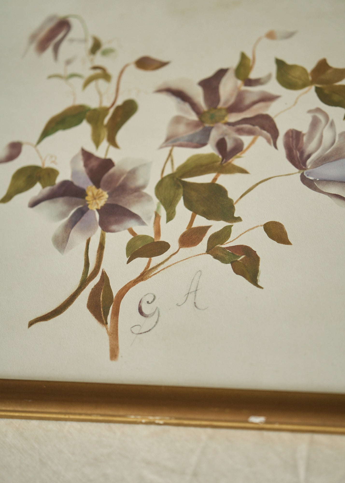 Antique Clematis Painting