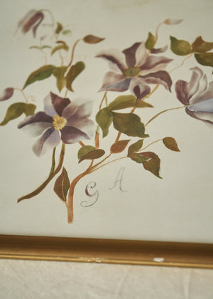 Antique Clematis Painting