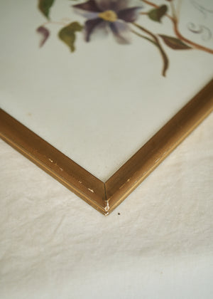Antique Clematis Painting