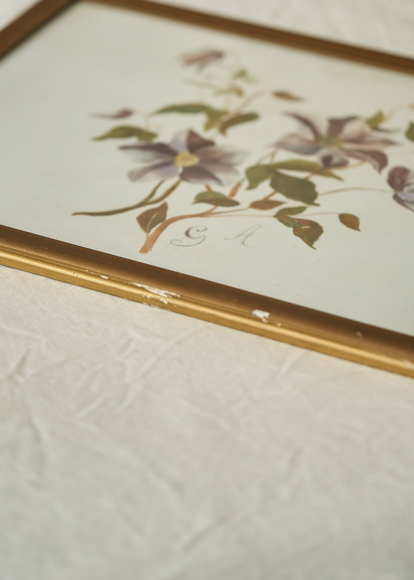 Antique Clematis Painting