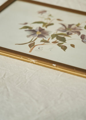 Antique Clematis Painting