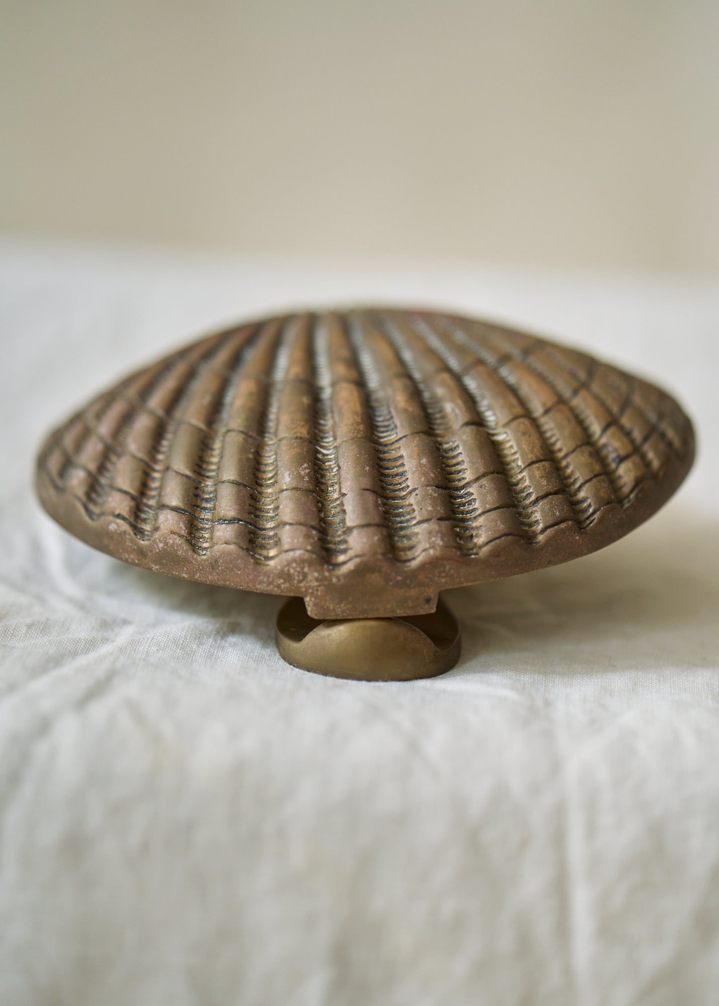 Antique Solid Brass Shell Door Knocker