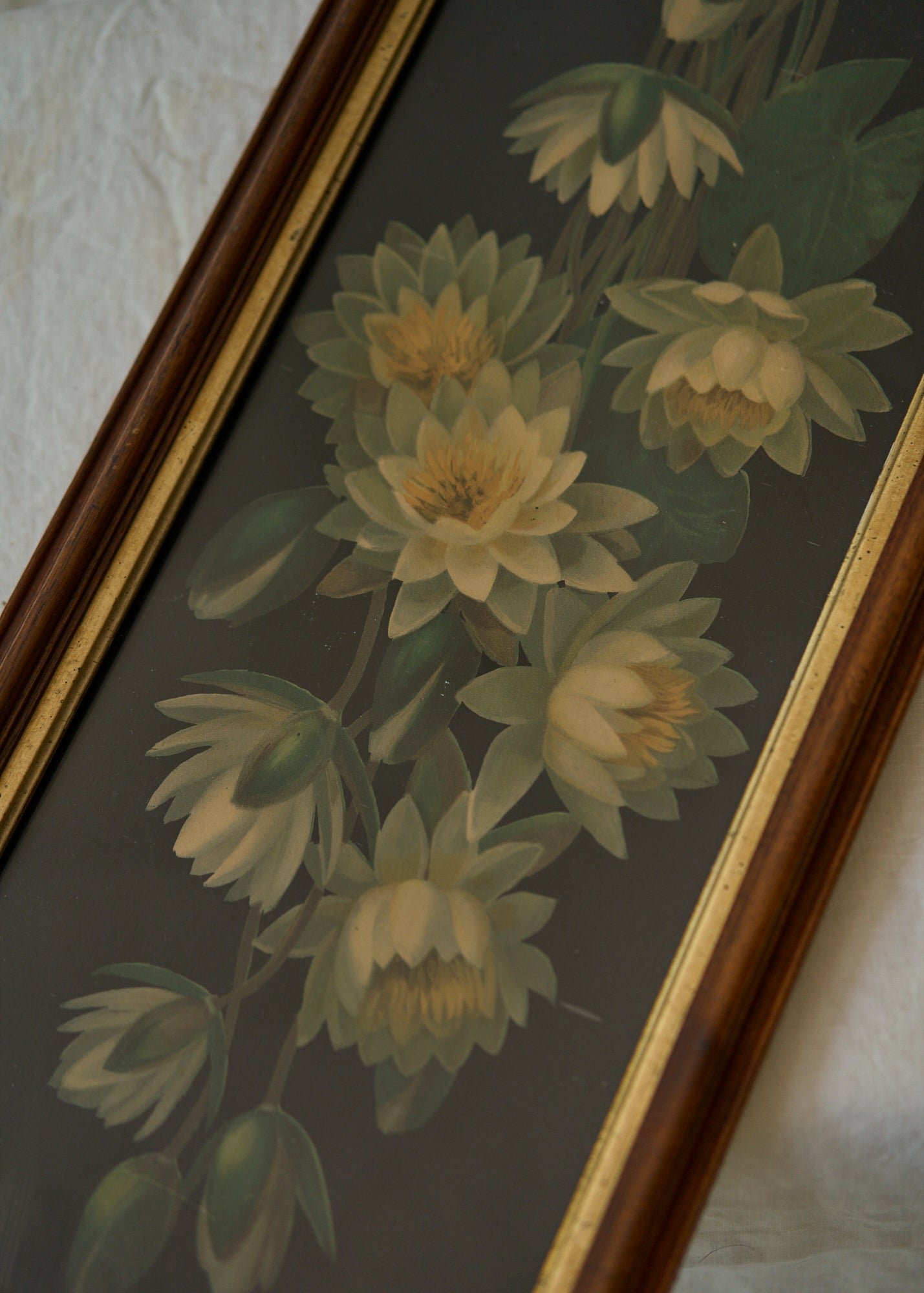 Antique Water Lily Painting