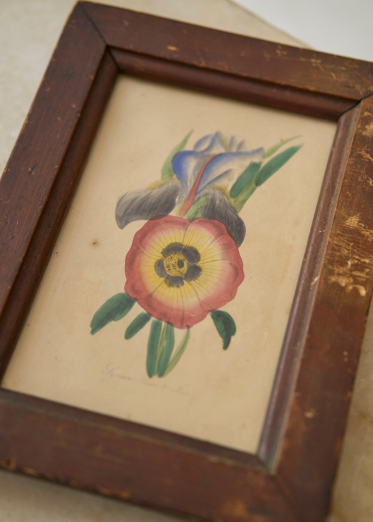 Early 19th Century Flower Painting