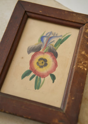 Early 19th Century Flower Painting