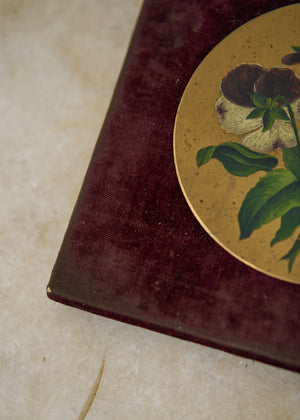 1800's Painting of Pansies on Velvet