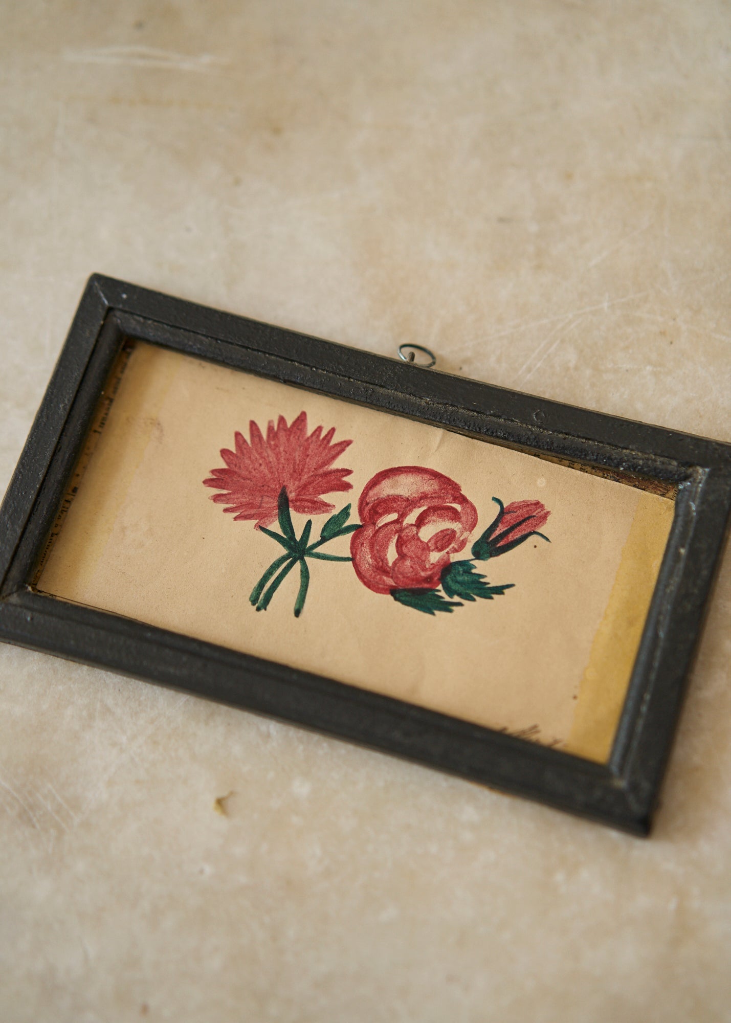 Early 19th Century Botanical Drawing