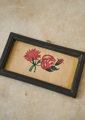 Early 19th Century Botanical Drawing