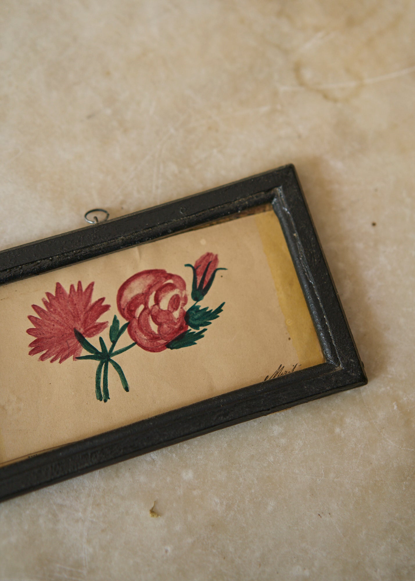 Early 19th Century Botanical Drawing