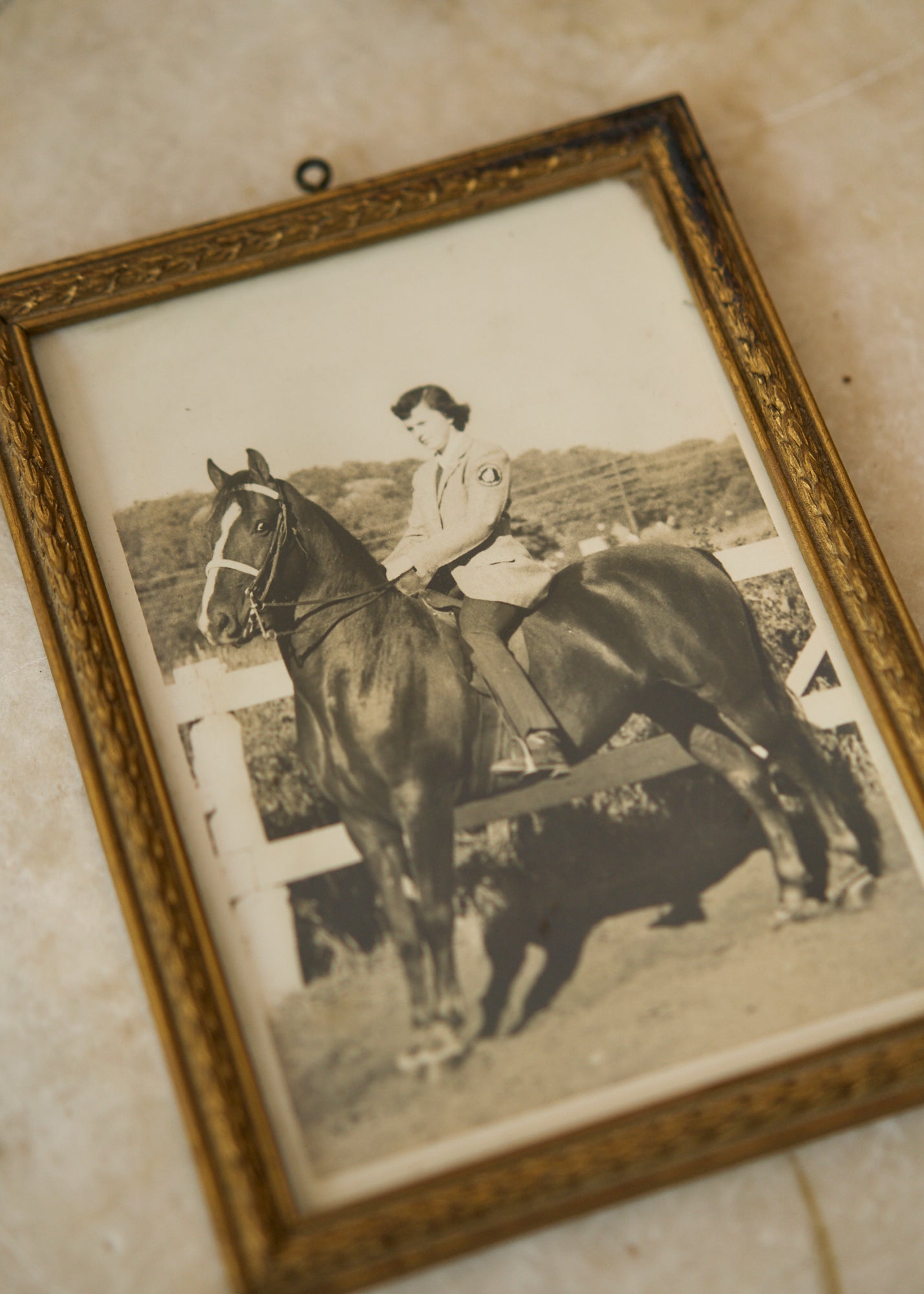 Framed Equestrian Photo