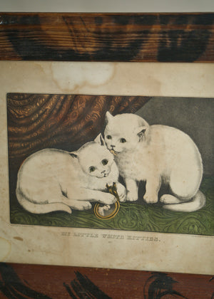 Early 1900's Framed Print, My Little White Kitties