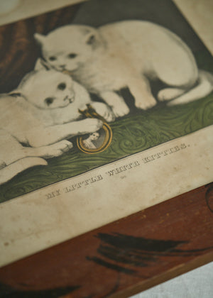 Early 1900's Framed Print, My Little White Kitties